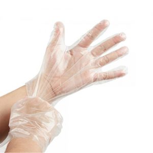 Disposable Deli Gloves